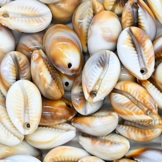 Plastic Cowri Shells (1-hole) | Size : 18mm | PB192
