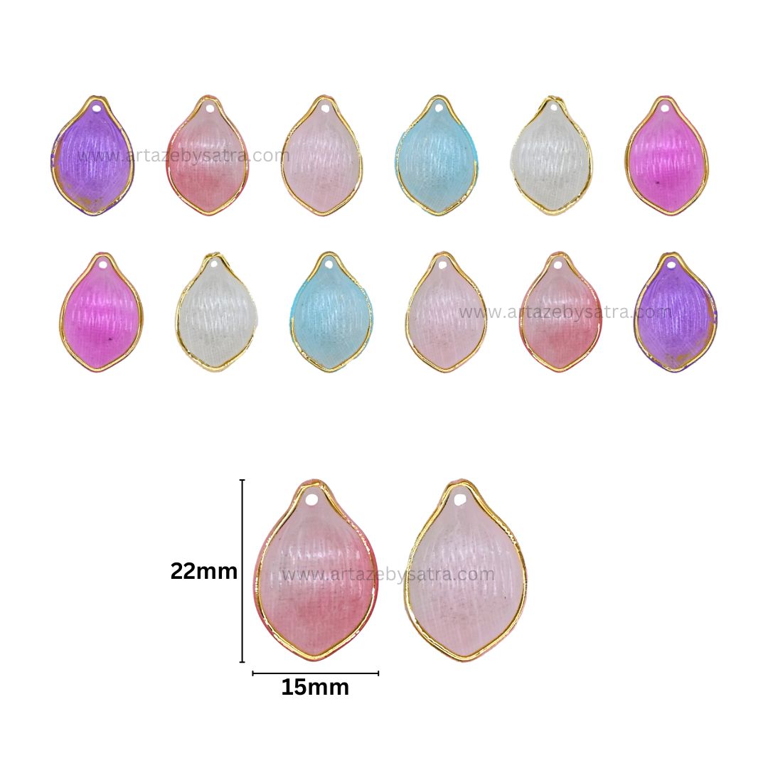 Colourful Acrylic Golden Colour Outlines Shell Beads | Size : 22mm | PB244