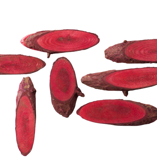 Wooden Slices | Size : 1.5 inch to 2 inch | Qty : 50pcs | WS06