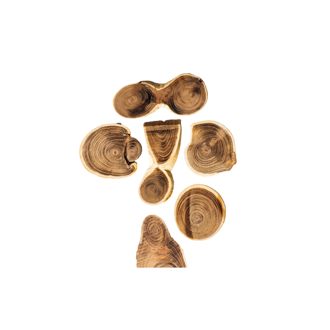 Wooden Slices | Size : 2 inch to 2.5 inch | Qty : 5pcs | BF168