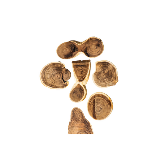 Wooden Slices | Size : 2 inch to 2.5 inch | Qty : 5pcs | WS09