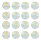 Rainbow Sea Shell Disc Plastic Beads (1 Hole) | Size : 36mm | Qty : 6pcs | PB180