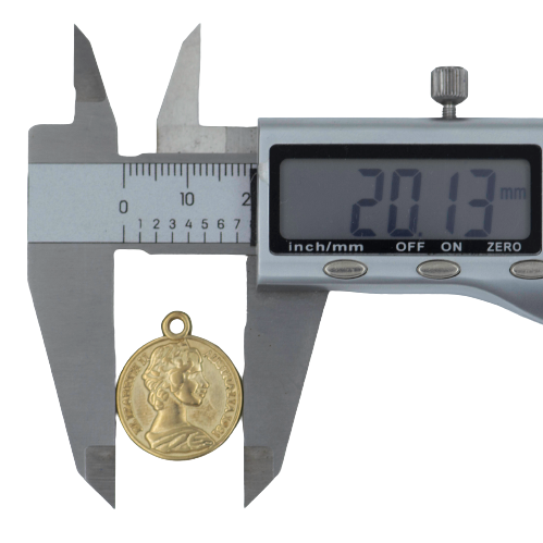 CCB Coins | Qty : 500g | BF78