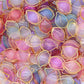 Colourful Acrylic Golden Colour Outlines Shell Beads | Size : 22mm | PB244