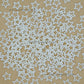 Hollow Star Shape White Pearl Beads | Size : 12mm | PPB96