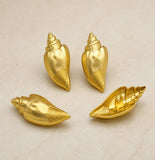 Conch Shell Shank Button with Loop | Qty : 4pcs | G-1-10