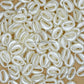 White Cowrie Shell Plastic Pearl Beads | Size : 17mm | PPB106