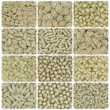 Designer Beads Combo Pack | Qty : 20grms Each (12 Designs) | BC01