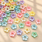 Pastel Acrylic Hollow Center Flower Beads | Size : 19mm | PB54