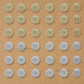 2 Hole Pumpkin Plastic Pearl Beads | Qty : 500g | PPB04