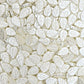 2 Hole Leaf Pearlized Beads | Size : 13mm | PPB91