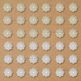 No Hole Plastic Pearl Flower | Size : 23mm | Qty : 500g | PPB63