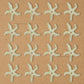 Cream Starfish Plastic Pearl Flower | Size : 40mm | Qty : 500g | PPB40