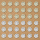 No Hole Plastic Pearl Flower | Size : 15mm | Qty : 500g | PPB49