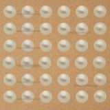 2 Hole Crush Shiny Finish Cream Round Plastic Pearl Beads | Qty : 500g | PPB03