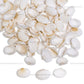 Ceramic Cowri Shells | Qty : 100g approx 150pcs  | PB34