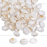 Ceramic Cowri Shells | Qty : 100g approx 150pcs  | PB34