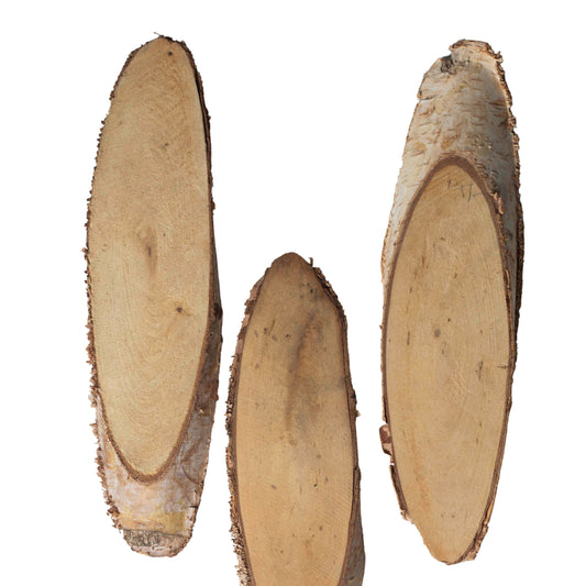 Wooden Slices | Size : 11 inch | Qty : 1pc | WS17