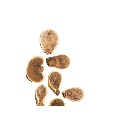 Wooden Slices | Size : 1 inch to 2.5 inch | Qty : 5pcs | WS08