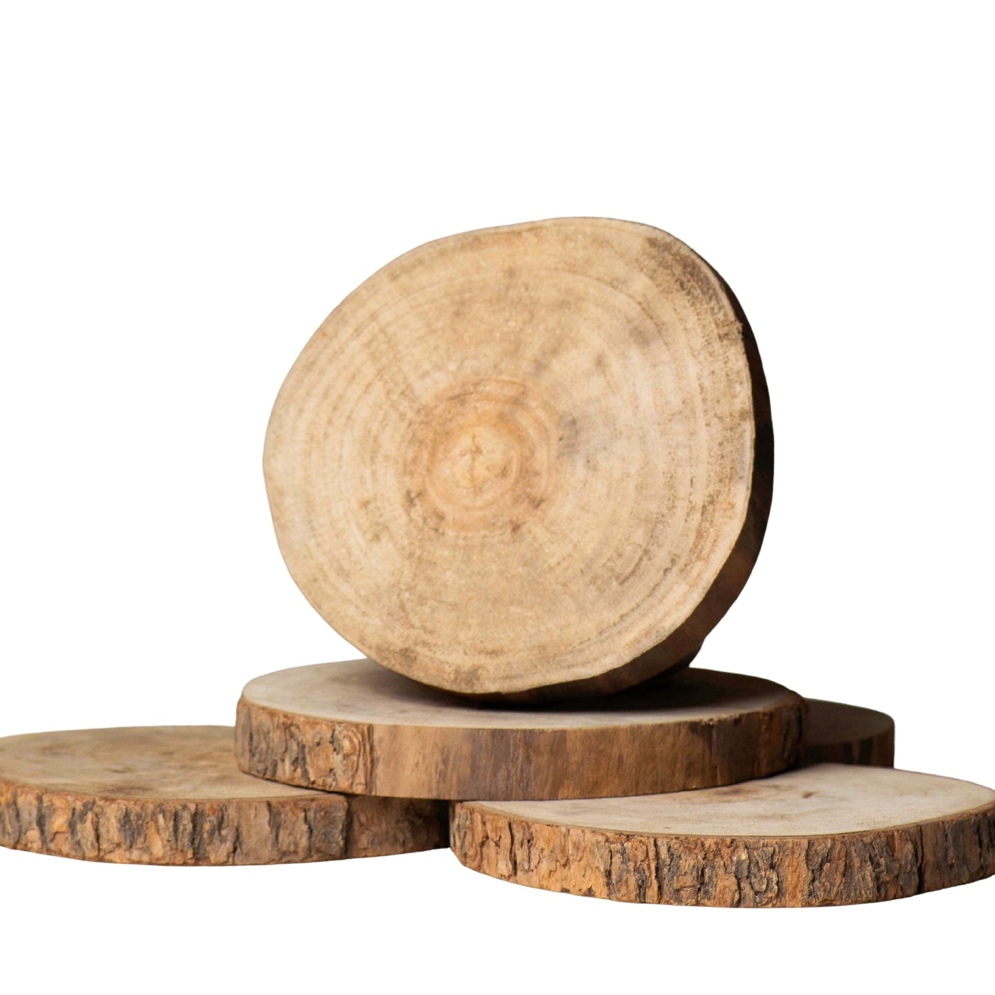 Wooden Slices | Size : 5.5 inch | Qty : 1pc | WS01