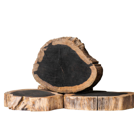 Wooden Log Slices | Size : 6 inch | Qty : 1pc | WS19