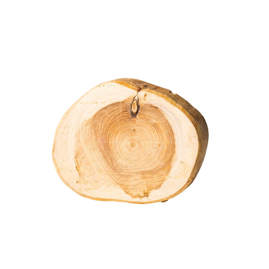 Wooden Slices | Size : 2.5 inch | Qty : 1pc | WS20