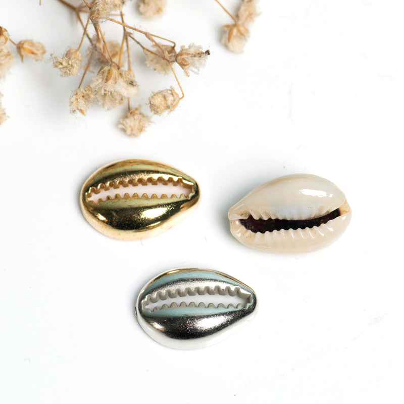Cowri Shells | size 14mm |100g